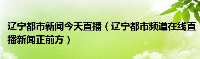  辽宁都市新闻今天直播（辽宁都市频道在线直播新闻正前方）