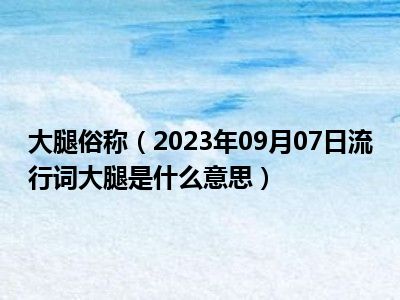 大腿俗称（2023年09月07日流行词大腿是什么意思）