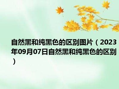 自然黑和纯黑色的区别图片（2023年09月07日自然黑和纯黑色的区别）