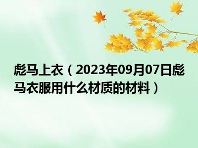 彪马上衣（2023年09月07日彪马衣服用什么材质的材料）