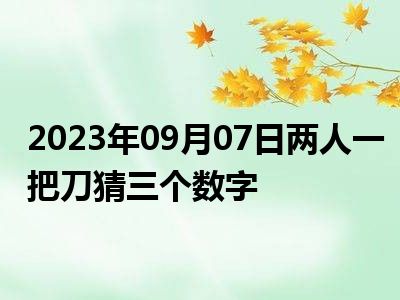 2023年09月07日两人一把刀猜三个数字