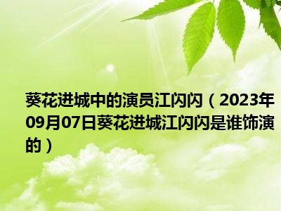 葵花进城中的演员江闪闪（2023年09月07日葵花进城江闪闪是谁饰演的）