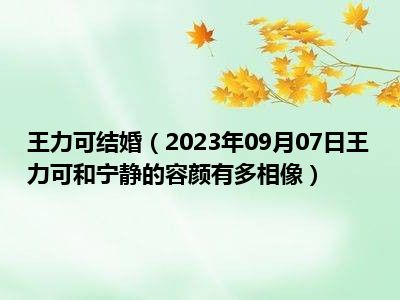 王力可结婚（2023年09月07日王力可和宁静的容颜有多相像）