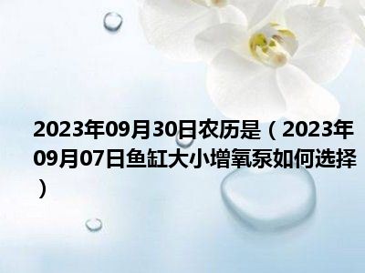 2023年09月30日农历是（2023年09月07日鱼缸大小增氧泵如何选择）