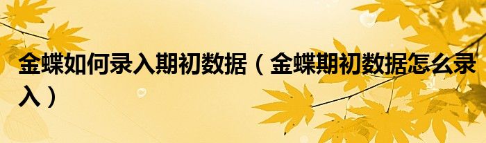 金蝶如何录入期初数据（金蝶期初数据怎么录入）