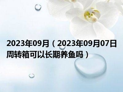 2023年09月（2023年09月07日周转箱可以长期养鱼吗）