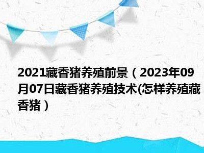 2021藏香猪养殖前景（2023年09月07日藏香猪养殖技术(怎样养殖藏香猪）