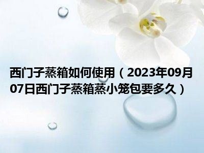 西门子蒸箱如何使用（2023年09月07日西门子蒸箱蒸小笼包要多久）