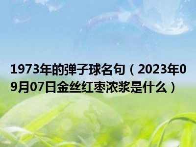 1973年的弹子球名句（2023年09月07日金丝红枣浓浆是什么）