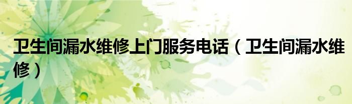  卫生间漏水维修上门服务电话（卫生间漏水维修）