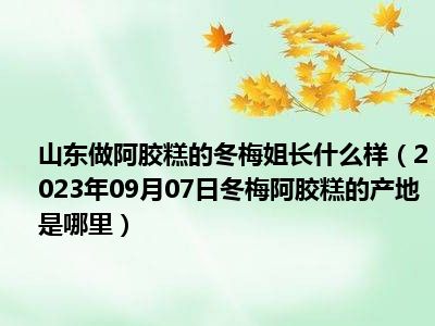 山东做阿胶糕的冬梅姐长什么样（2023年09月07日冬梅阿胶糕的产地是哪里）