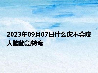 2023年09月07日什么虎不会咬人脑筋急转弯