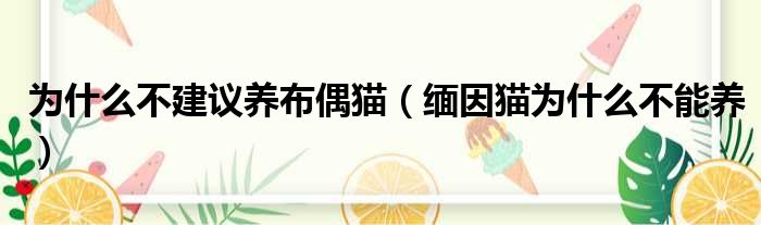 为什么不建议养布偶猫（缅因猫为什么不能养）