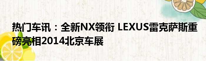 热门车讯：全新NX领衔 LEXUS雷克萨斯重磅亮相2014北京车展