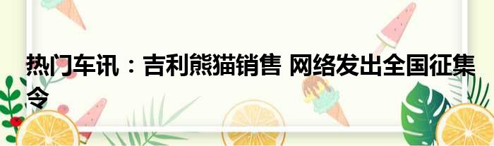 热门车讯：吉利熊猫销售 网络发出全国征集令