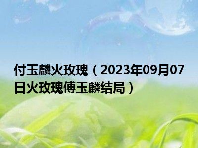 付玉麟火玫瑰（2023年09月07日火玫瑰傅玉麟结局）