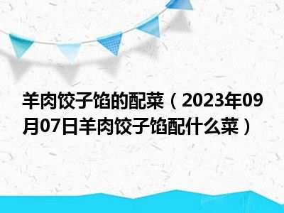 羊肉饺子馅的配菜（2023年09月07日羊肉饺子馅配什么菜）