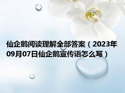 仙企鹅阅读理解全部答案（2023年09月07日仙企鹅宣传语怎么写）