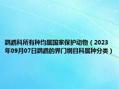 鹦鹉科所有种均属国家保护动物（2023年09月07日鹦鹉的界门纲目科属种分类）