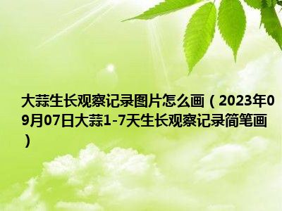 大蒜生长观察记录图片怎么画（2023年09月07日大蒜1-7天生长观察记录简笔画）