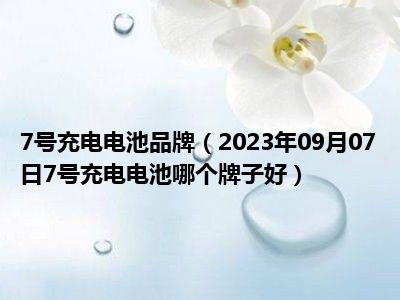 7号充电电池品牌（2023年09月07日7号充电电池哪个牌子好）