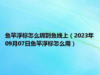 鱼竿浮标怎么绑到鱼线上（2023年09月07日鱼竿浮标怎么用）