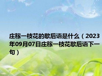 庄稼一枝花的歇后语是什么（2023年09月07日庄稼一枝花歇后语下一句）