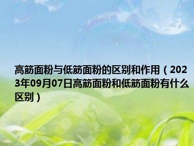 高筋面粉与低筋面粉的区别和作用（2023年09月07日高筋面粉和低筋面粉有什么区别）