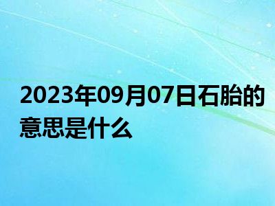 2023年09月07日石胎的意思是什么