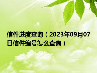 信件进度查询（2023年09月07日信件编号怎么查询）