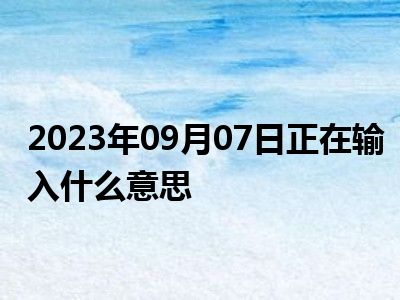 2023年09月07日正在输入什么意思