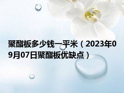 聚酯板多少钱一平米（2023年09月07日聚酯板优缺点）