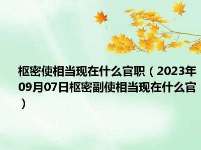 枢密使相当现在什么官职（2023年09月07日枢密副使相当现在什么官）