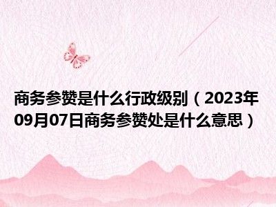 商务参赞是什么行政级别（2023年09月07日商务参赞处是什么意思）