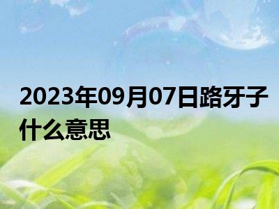 2023年09月07日路牙子什么意思