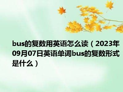 bus的复数用英语怎么读（2023年09月07日英语单词bus的复数形式是什么）