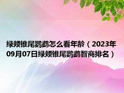 绿颊锥尾鹦鹉怎么看年龄（2023年09月07日绿颊锥尾鹦鹉智商排名）