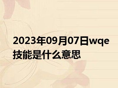 2023年09月07日wqe技能是什么意思