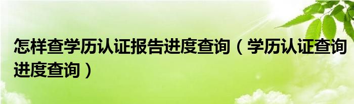  怎样查学历认证报告进度查询（学历认证查询进度查询）