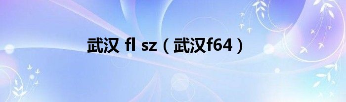 武汉 fl sz（武汉f64）