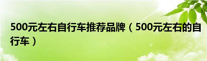  500元左右自行车推荐品牌（500元左右的自行车）