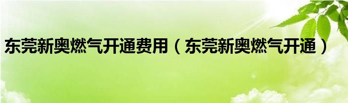  东莞新奥燃气开通费用（东莞新奥燃气开通）