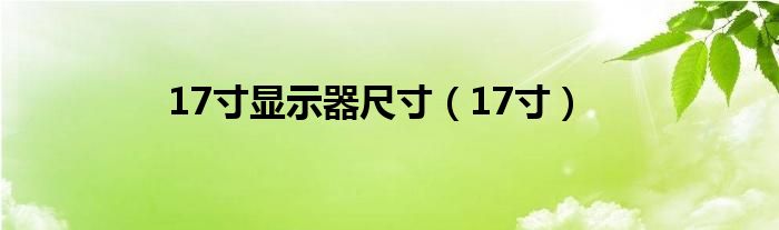  17寸显示器尺寸（17寸）