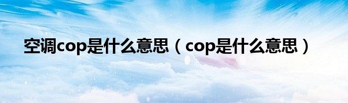  空调cop是什么意思（cop是什么意思）