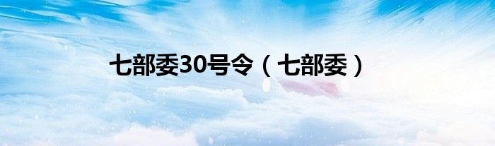  七部委30号令（七部委）