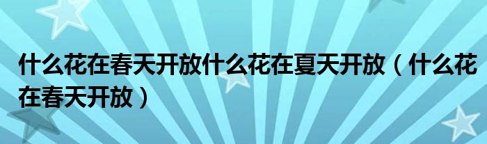  什么花在春天开放什么花在夏天开放（什么花在春天开放）