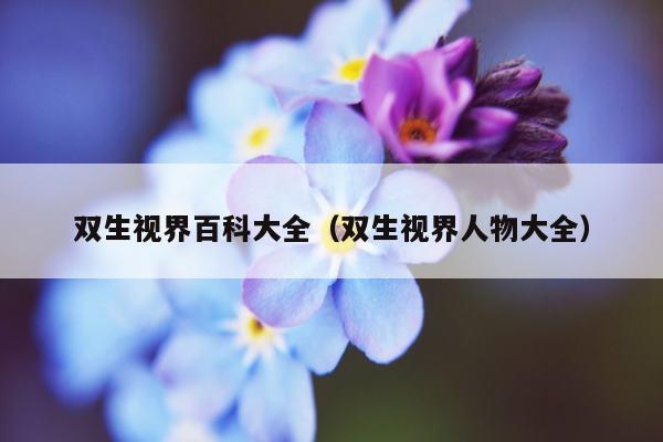 双生视界百科大全（双生视界人物大全）