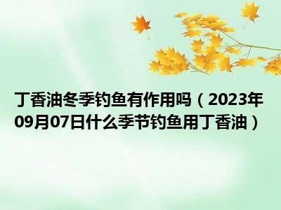 丁香油冬季钓鱼有作用吗（2023年09月07日什么季节钓鱼用丁香油）