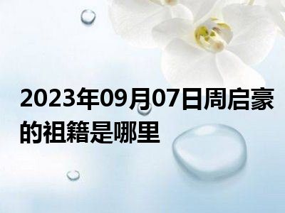 2023年09月07日周启豪的祖籍是哪里