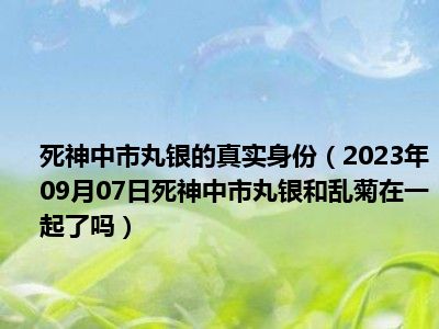 死神中市丸银的真实身份（2023年09月07日死神中市丸银和乱菊在一起了吗）